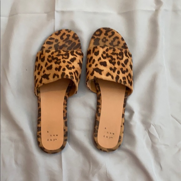 cheetah slides